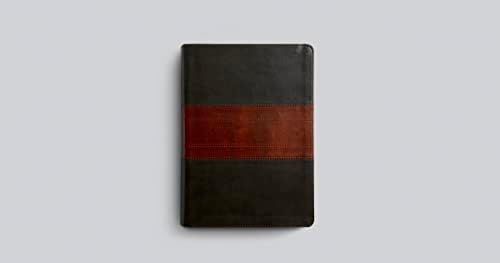 ESV Study Bible, Large Print (TruTone, Forest/Tan, Trail Design) by ESV Bibles