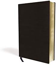 NIV/RVR60, Bilingual Bible, Leather-Look, Black / NIV/RVR60, Biblia Bilingüe, Imitación piel, Negro (Spanish Edition) by Zondervan