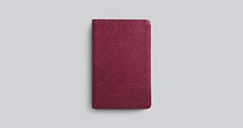 ESV Large Print Value Thinline Bible (TruTone, Raspberry, Floral Design): Holy Bible, English Standard Version by ESV Bibles
