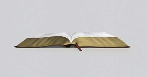 ESV Study Bible (TruTone, Chestnut) by ESV Bibles