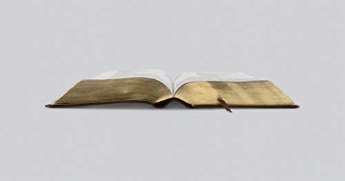 ESV Study Bible, Personal Size (TruTone, Brown) by ESV Bibles