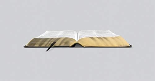 ESV Study Bible, Large Print (Genuine Leather, Black) by ESV Bibles