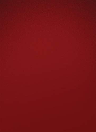 LBLA La Biblia de Estudio de La Reforma, Tapa dura, rojo con estuche, Spanish Edition by R.C. Sproul