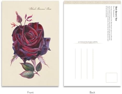 The Goth Garden: Dark Blooms: 50 Postcards Featuring the Mystery and Beauty of the Goth Garden by Felicia Feaster