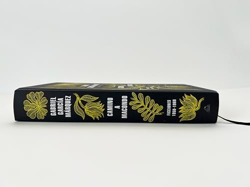 Camino a Macondo / The Road to Macondo (Spanish Edition) by Gabriel García Márquez