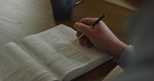ESV Journaling Study Bible (TruTone, Brown/Chestnut, Timeless Design): Holy Bible, English Standard Version by ESV Bibles