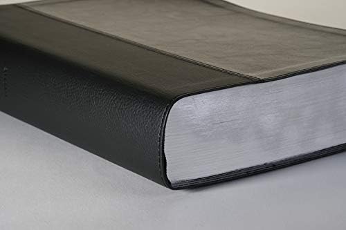 Every Man's Bible: New Living Translation, Large Print, TuTone (LeatherLike, Black/Onyx) – Study Bible for Men with Study Notes, Book Introductions, and 44 Charts by New Living Translation