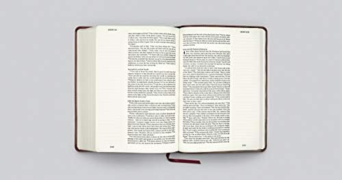 ESV Single Column Journaling Bible, Large Print (TruTone, Burgundy/Red, Timeless Design): Holy Bible, English Standard Version by ESV Bibles