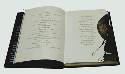 Nicolás San Norte y la batalla contra el Rey de las Pesadillas (1) (Los Guardianes) (Spanish Edition) by Laura Geringer