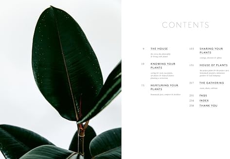 House of Plants: Living with tropical plants, succulents and cacti by Rose Ray
