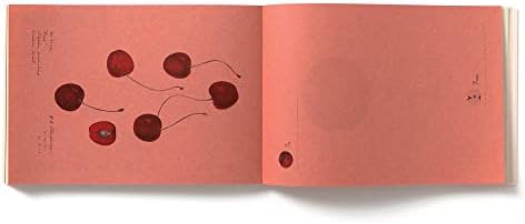 100 WRITING & CRAFTING PAPERS OF FRUIT (PIE 100 Writing & Crafting Papers Series) (Japanese Edition) by Oshima Idea
