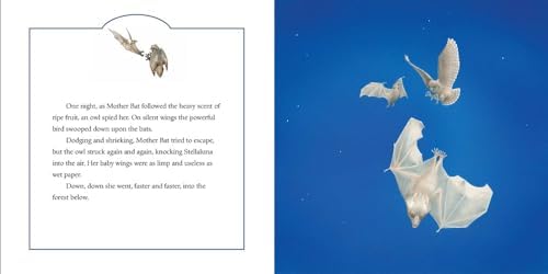 Stellaluna: A Heartwarming Animal Adventure About Identity, Family, and Finding Where You Belong by Janell Cannon