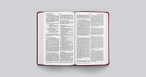 ESV Large Print Value Thinline Bible (TruTone, Raspberry, Floral Design): Holy Bible, English Standard Version by ESV Bibles