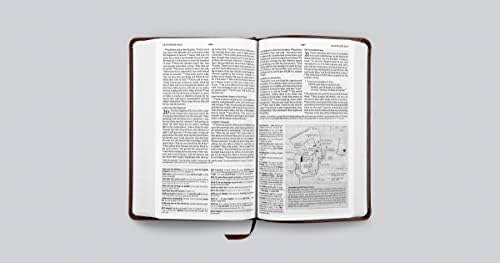 ESV Concise Study Bible (TruTone, Brown): Holy Bible, English Standard Version by ESV Bibles