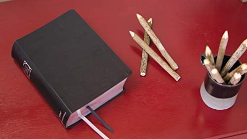 NIV Study Bible, Fully Revised Edition (Study Deeply. Believe Wholeheartedly.), Bonded Leather, Black, Red Letter, Comfort Print by Zondervan