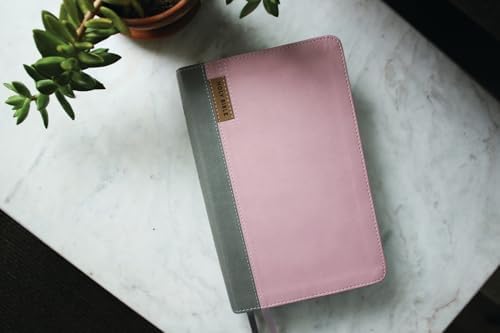 NIV Application Bible, Personal Size, Leathersoft, Pink/Gray, Red Letter, Thumb Indexed, Comfort Print: Bringing the Ancient Message of the Bible into Your World by Zondervan