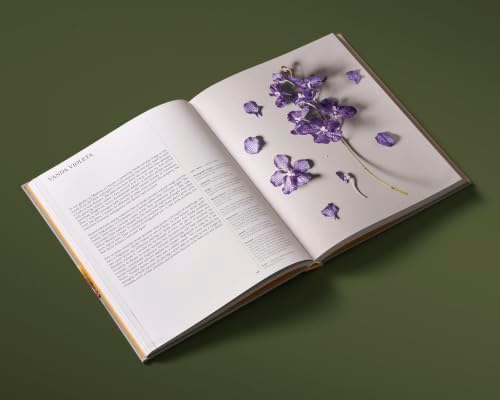 Orchids: Botanical Portraits: Beauty, Natural History, Botany by Robbie Honey