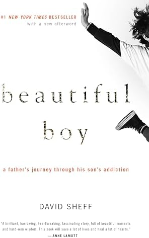 Beautiful Boy: A Heartbreaking Story of a Father’s Love, Addiction, and the Fight to Save His Son by David Sheff
