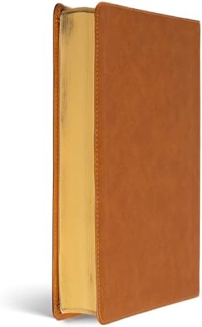 CSB Notetaking Bible, Large Print Edition, Camel LeatherTouch, Black Letter, Wide Margins, Journaling Space, Single-Column, Reading Plan, Easy-to-Read Bible Serif Type by CSB Bibles by Holman