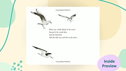 The Little Island: (Caldecott Medal Winner) by Margaret Wise Brown