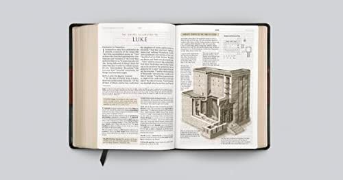 ESV Study Bible, Large Print (TruTone, Forest/Tan, Trail Design) by ESV Bibles