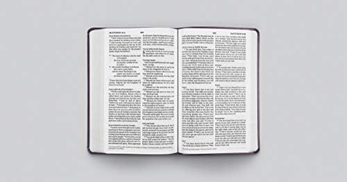ESV Large Print Value Thinline Bible (TruTone, Lavender, Filigree Design) by ESV Bibles