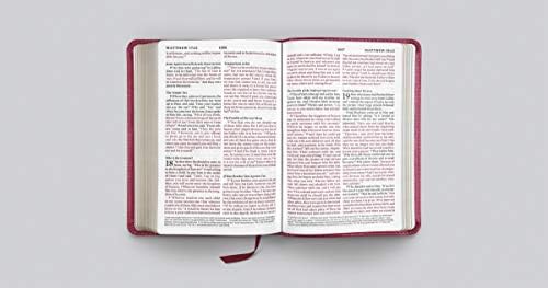 ESV Large Print Compact Bible (TruTone, Berry, Floral Design) by ESV Bibles