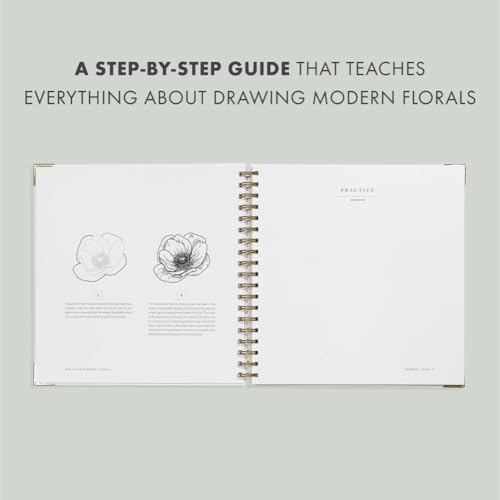 How To Draw Modern Florals: An Introduction To The Art of Flowers, Cacti, and More by Alli Koch