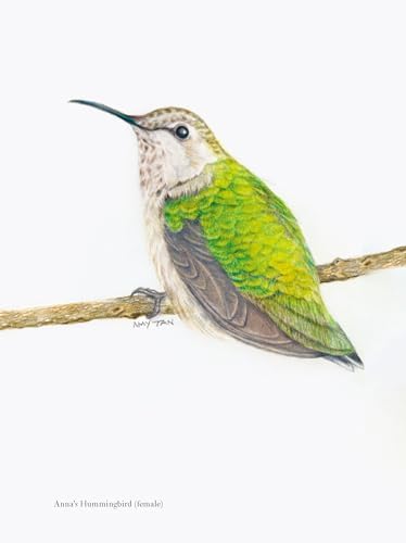 The Backyard Bird Chronicles by Amy Tan