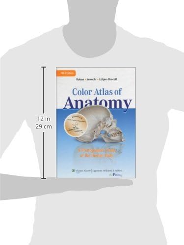 Color Atlas of Anatomy: A Photographic Study of the Human Body by Johannes W. Rohen