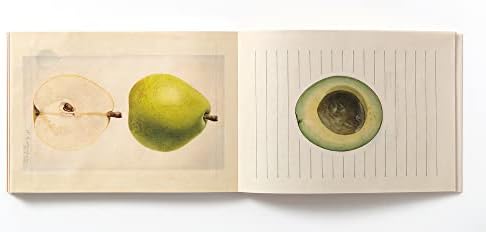 100 WRITING & CRAFTING PAPERS OF FRUIT (PIE 100 Writing & Crafting Papers Series) (Japanese Edition) by Oshima Idea