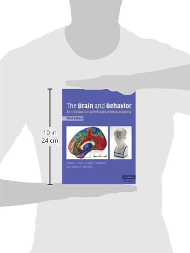 The Brain and Behavior: An Introduction to Behavioral Neuroanatomy by David L. Clark