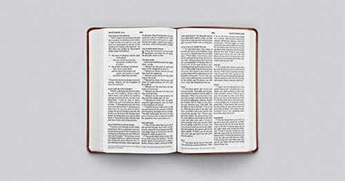 ESV Large Print Value Thinline Bible (TruTone, Tan, Ornament Design) by ESV Bibles