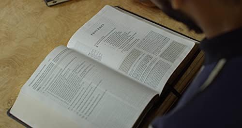ESV Study Bible (Buffalo Leather, Deep Brown): Holy Bible, English Standard Version by ESV Bibles
