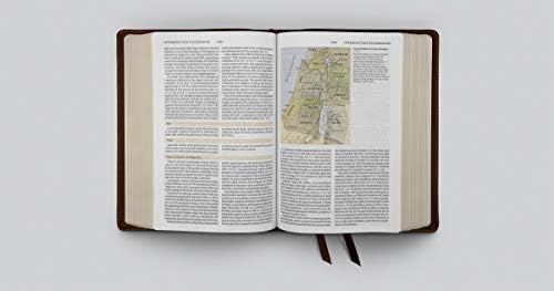 ESV Study Bible (Cowhide, Deep Brown) by ESV Bibles