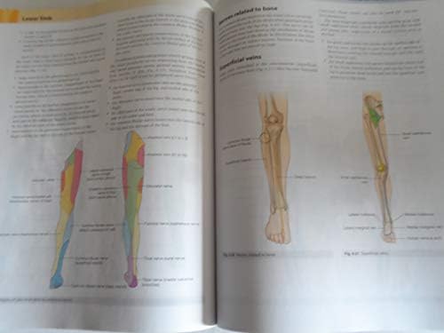 Gray's Anatomy for Students: with STUDENT CONSULT Online Access by Richard L. Drake PhD