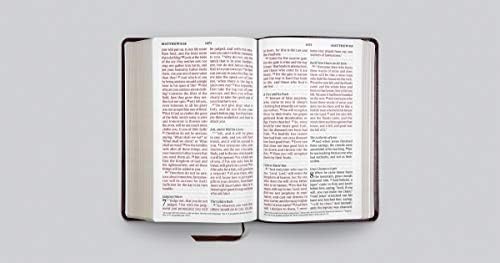 ESV Large Print Personal Size Bible (TruTone, Mahogany) by ESV Bibles