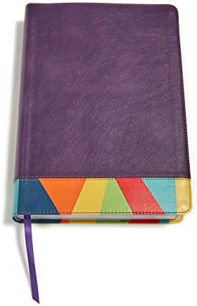 Reina Valera 1960 Biblia de Estudio Arcoíris, morado/multicolor | RVR 1960 Rainbow Study Bible Purple/multicolor LeatherTouch (Spanish Edition) by B&H Español Editorial Staff