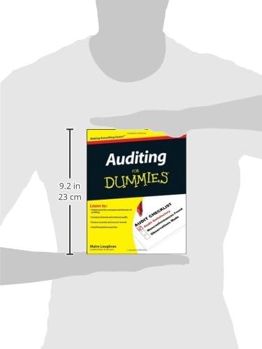 Auditing For Dummies (For Dummies Series) by Maire Loughran