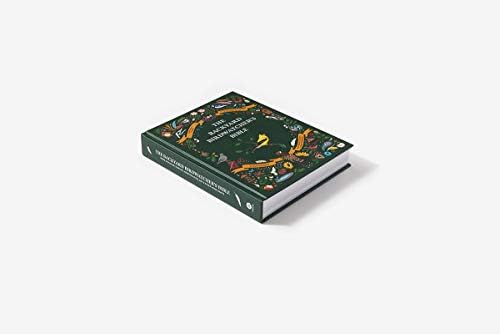 The Backyard Birdwatcher's Bible: Birds, Behaviors, Habitats, Identification, Art & Other Home Crafts (The Backyard Naturalist Series) by Paul Sterry