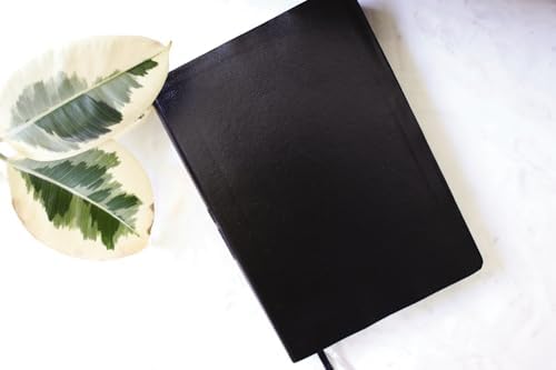 NIV, Quest Study Bible, Large Print, Bonded Leather, Black, Thumb Indexed, Comfort Print: The Only Q and A Study Bible by Christianity Today Intl.