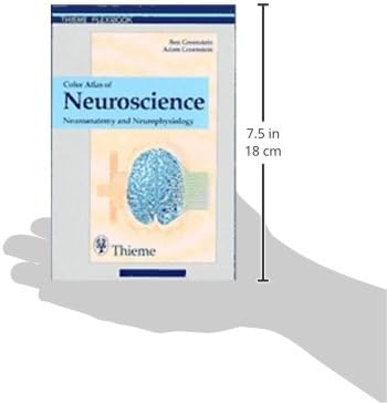 Color Atlas of Neuroscience: Neuroanatomy and Neurophysiology by Ben D. Greenstein