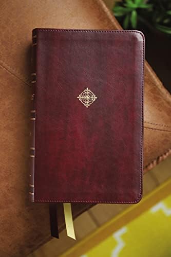 NIV, Thompson Chain-Reference Bible, Handy Size, Leathersoft, Burgundy, Red Letter, Comfort Print by Zondervan