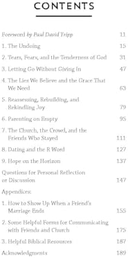 This Was Never the Plan: Walking with God Through the Heartache of Divorce (A Practical Christian Guide to Healing, Hope, and Strength After Separation) by Vaneetha Rendall Risner