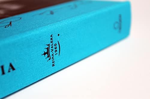 Biblia RVR 1960 letra grande, tamaño manual, tapa dura de tela León aguamarina / Spanish Bible RVR 1960 Handy Size Large Print Hardcover Cloth Lion Aquamarin (Spanish Edition) by Reina Valera Revisada 1960