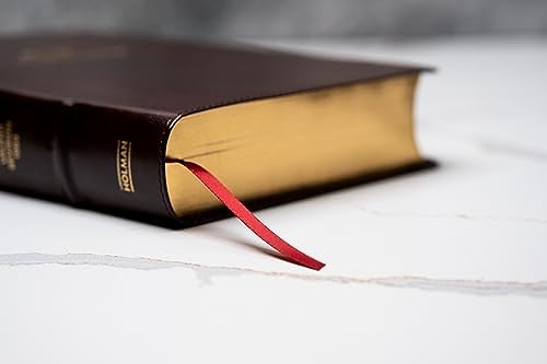 RVR 1960 Biblia del ministro, edición ampliada, caoba piel fabricada/ RVR 1960 Minister's Bible Amplified Edition, Mahogany Bonded Leather (Spanish Edition) by B&H Español Editorial Staff