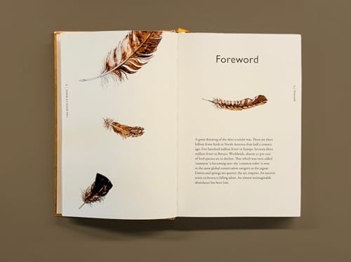 The Book of Birds: A Field Guide to Wonder and Loss by Robert Macfarlane