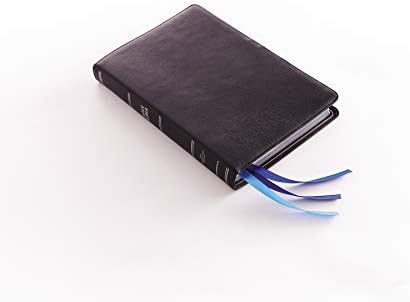 NIV, Thinline Bible, Large Print, Premium Goatskin Leather, Black, Premier Collection, Black Letter, Art Gilded Edges, Comfort Print by Zondervan
