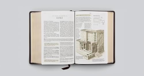 ESV Study Bible, Large Print (Buffalo Leather, Deep Brown): Holy Bible, English Standard Version by ESV Bibles
