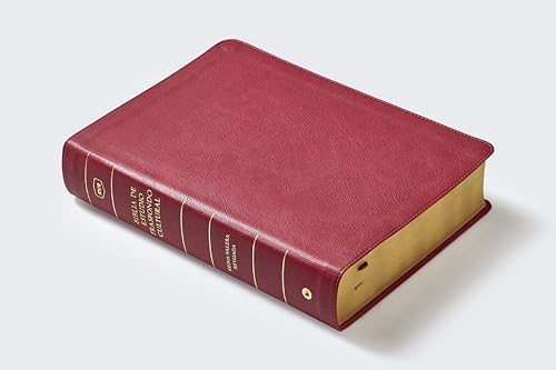 RVR, Biblia de estudio trasfondo cultural (El contexto lo cambia todo), Leathersoft, Rojo vino, Interior a color, Comfort Print: Explora el mundo antiguo de la Escritura (Spanish Edition) by Vida